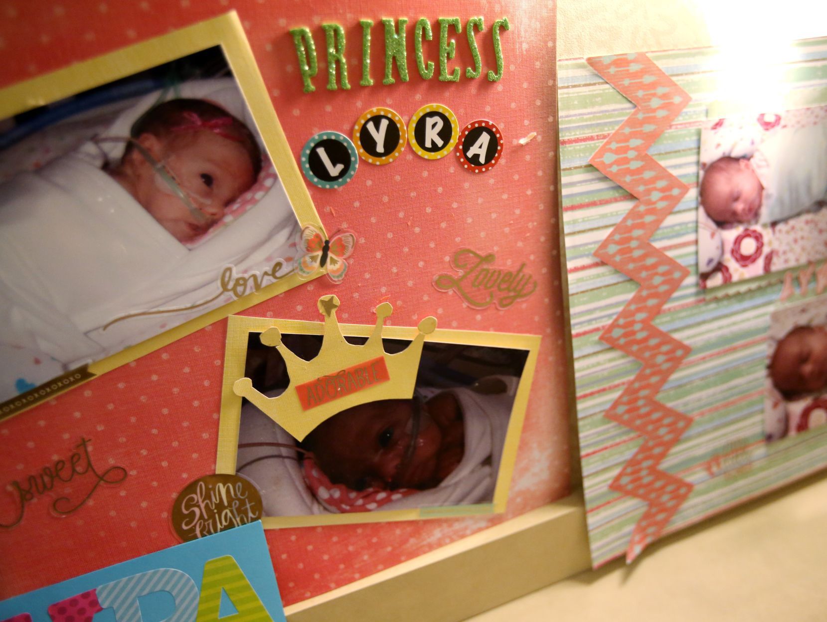 Lyra's board